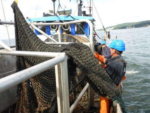 Fischer beim Bergen von Schleppnetzen in der Ostsee